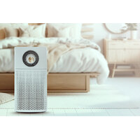 A Comprehensive Air Purifier Buying Guide for Your Home 