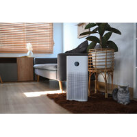 Improve Indoor Air Quality with Air Purifiers: Essential Tips and Products